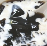 仙草布丁