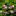 yu0928 (302)