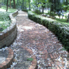 bbglg (130)
