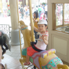 wenting1106 (4)