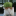 littlecat_cat (168)
