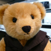 mini_bear (120)